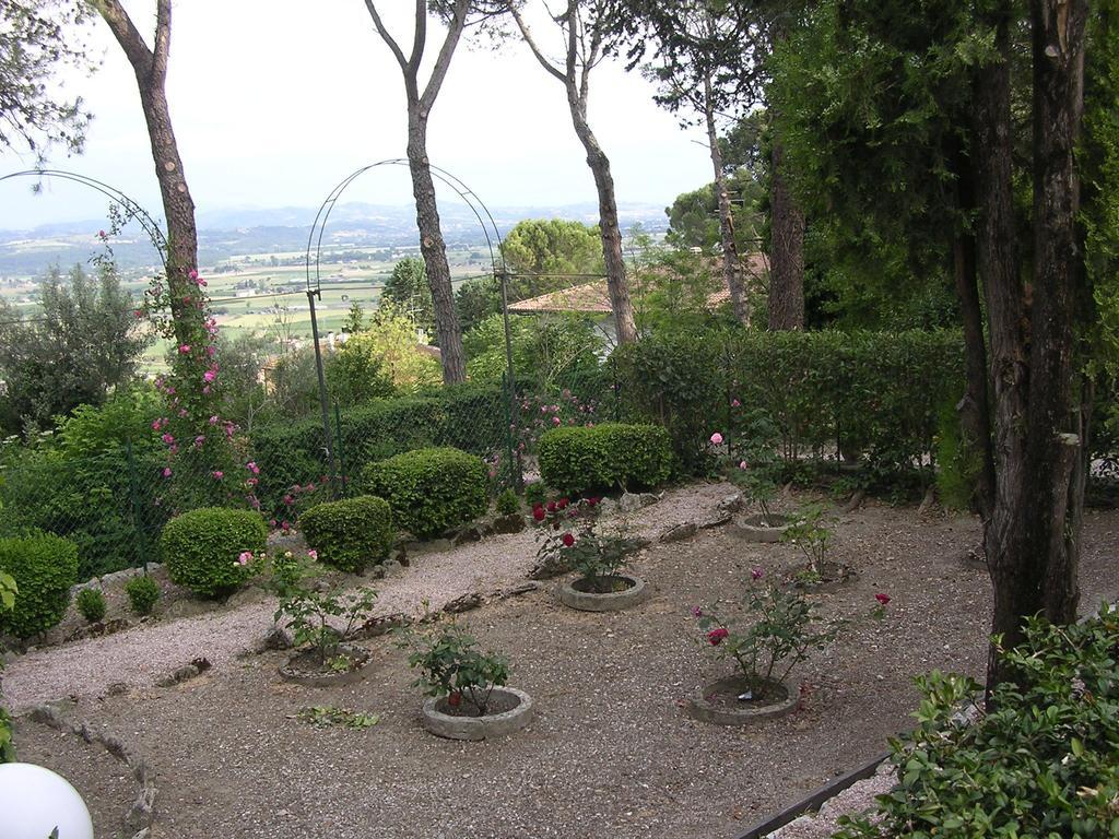 菲奥里塔住宿加早餐旅馆 Sant'Enea 外观 照片