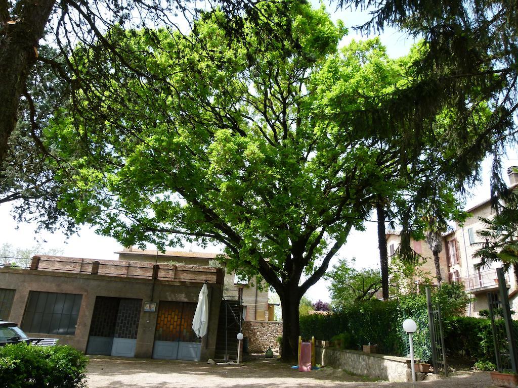 菲奥里塔住宿加早餐旅馆 Sant'Enea 外观 照片